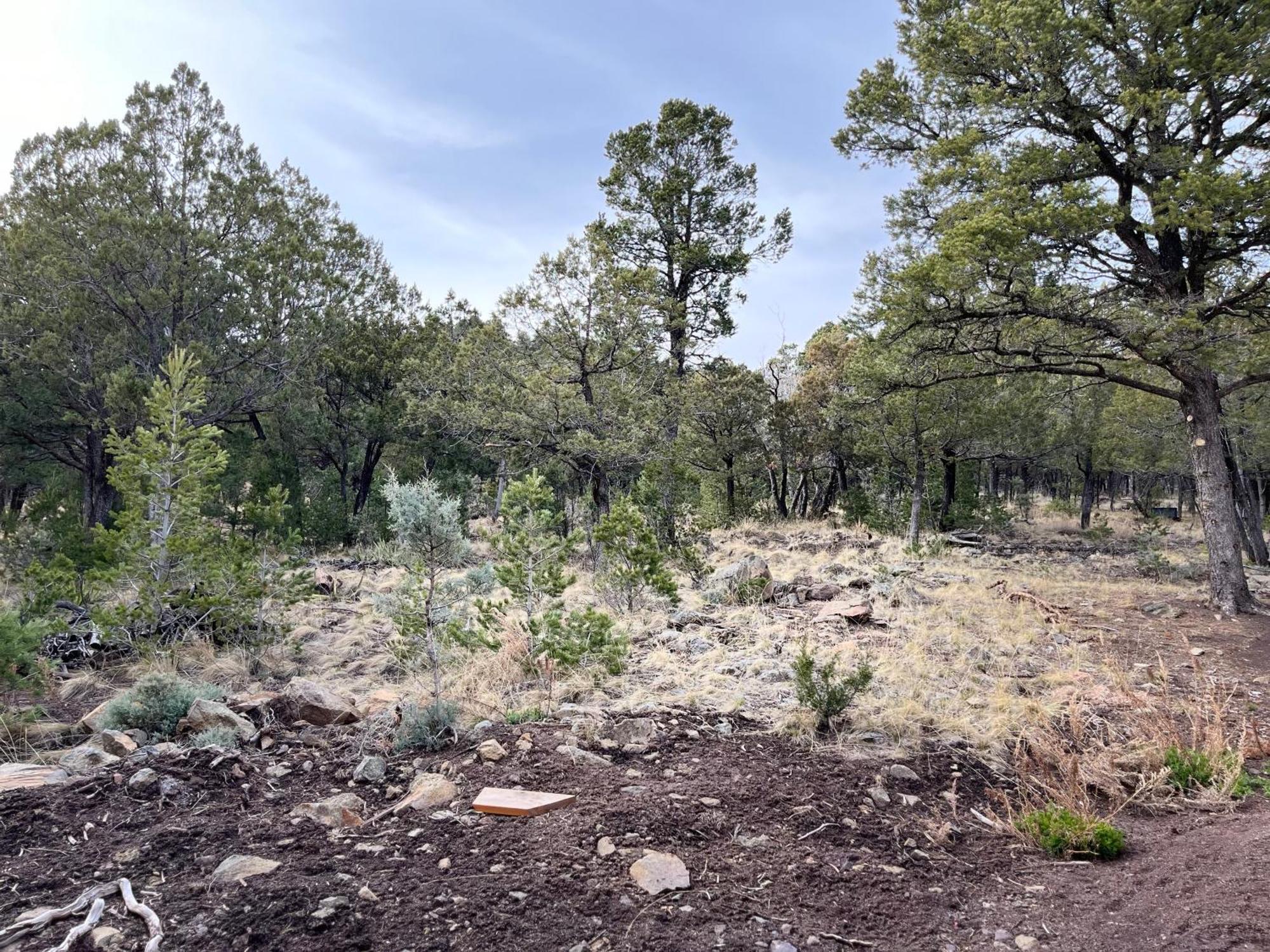 Thunder Hollow Ruidoso Eksteriør bilde